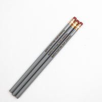 Quietly plotting your downfall pencils in silver ( 3 Pencil Set )